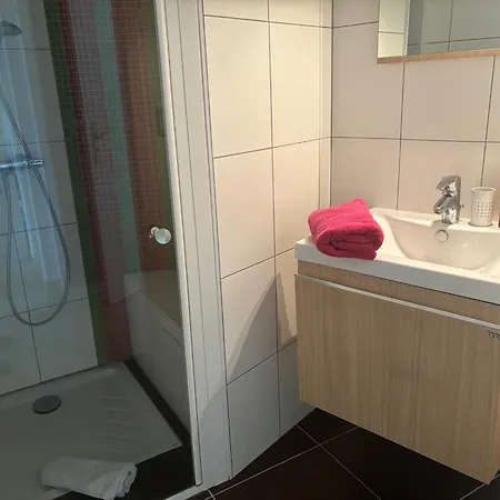 Superbe Et Au Calme - Vue Zoo - 3 Mulhouse