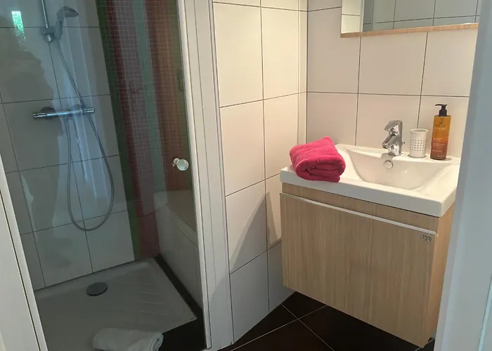 Superbe Et Au Calme - Vue Zoo - 3 ミュルーズ