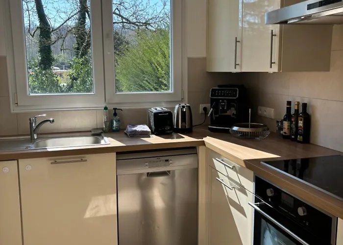 Superbe Et Au Calme - Vue Zoo - 3 アパート ミュルーズ