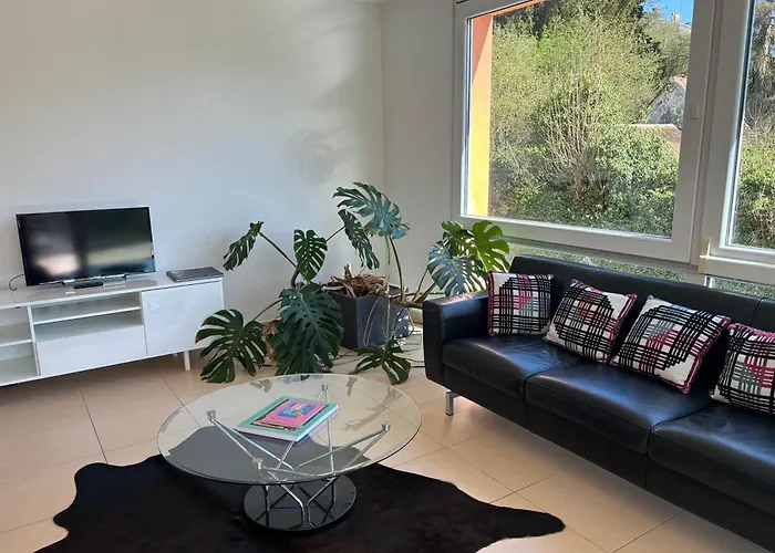 Superbe Et Au Calme - Vue Zoo - 3 Appartement *